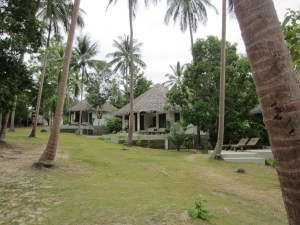 The Jungle Club, Koh Samui