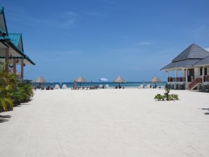 Where I happily wasted countless hours